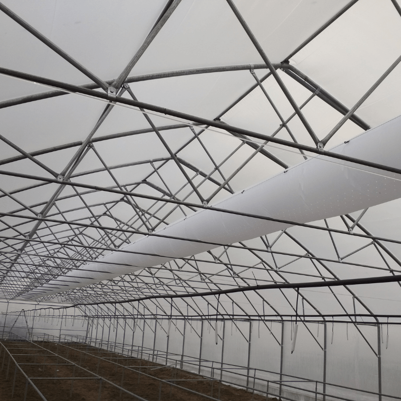 Snail_farm_09